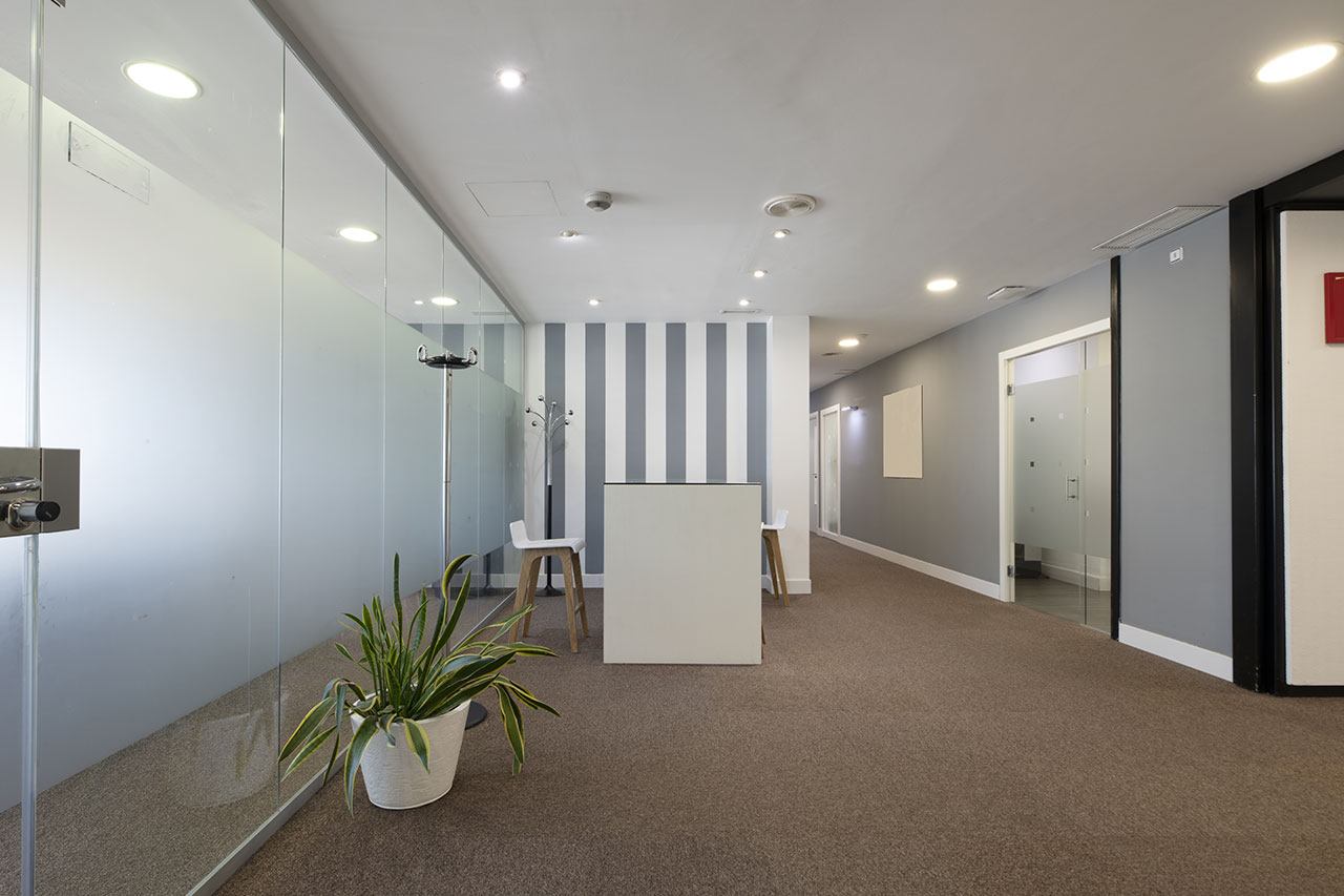 Modern office workplace with a carpet